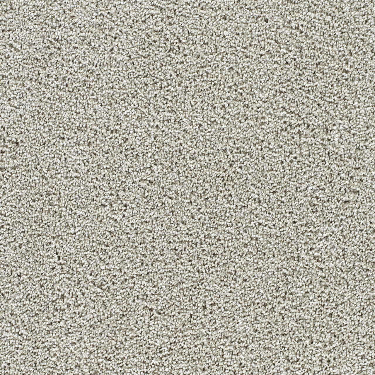 Fresh Start II - August Grove