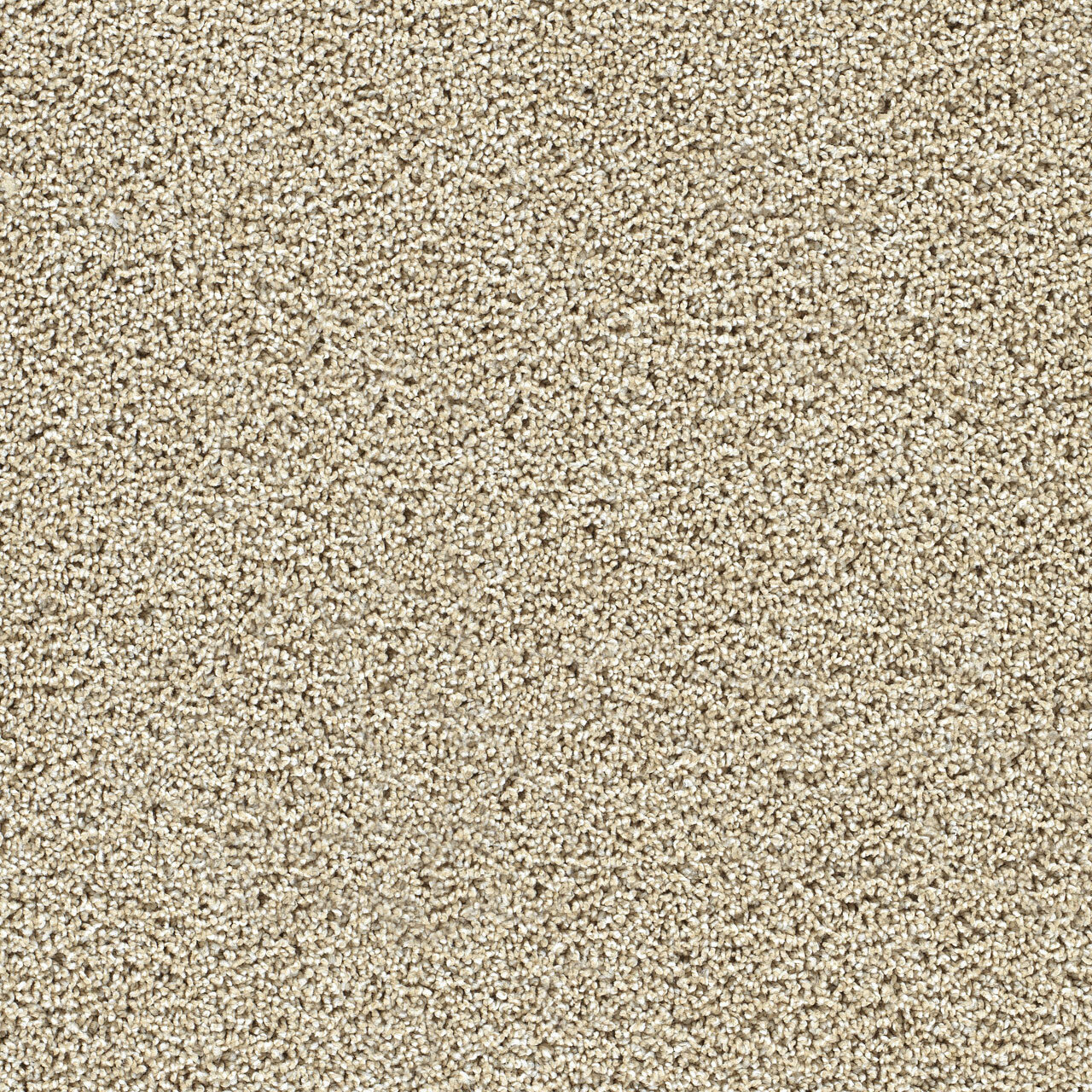 Fresh Start I - Sunflower