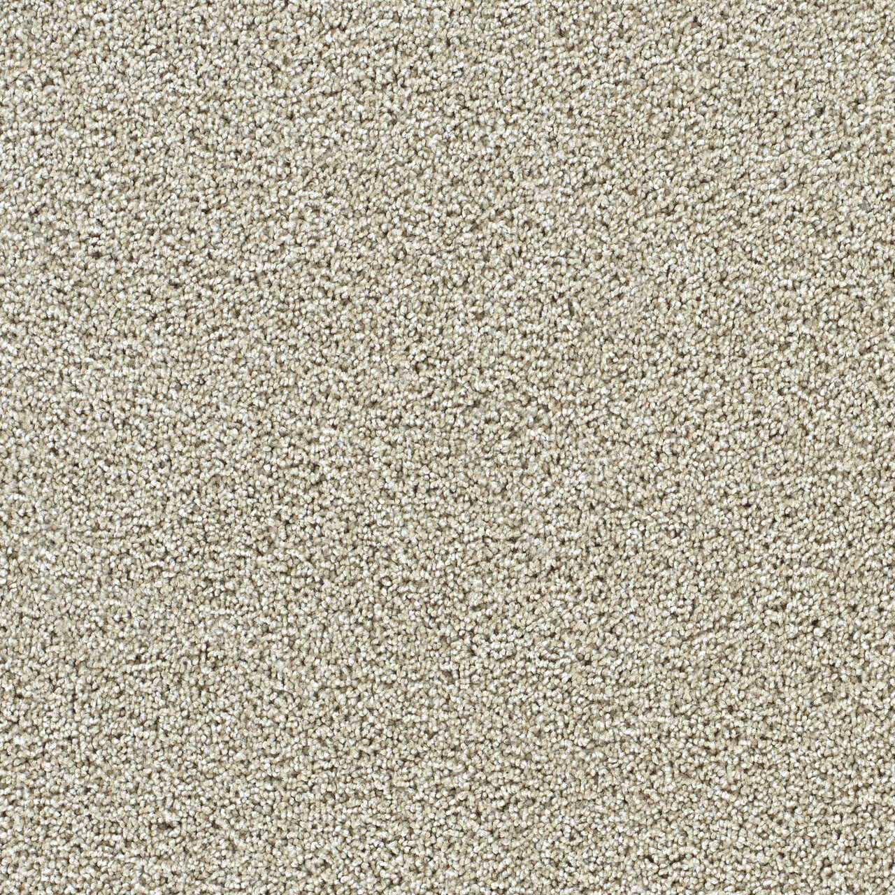 Fresh Start III - Wheat Grass