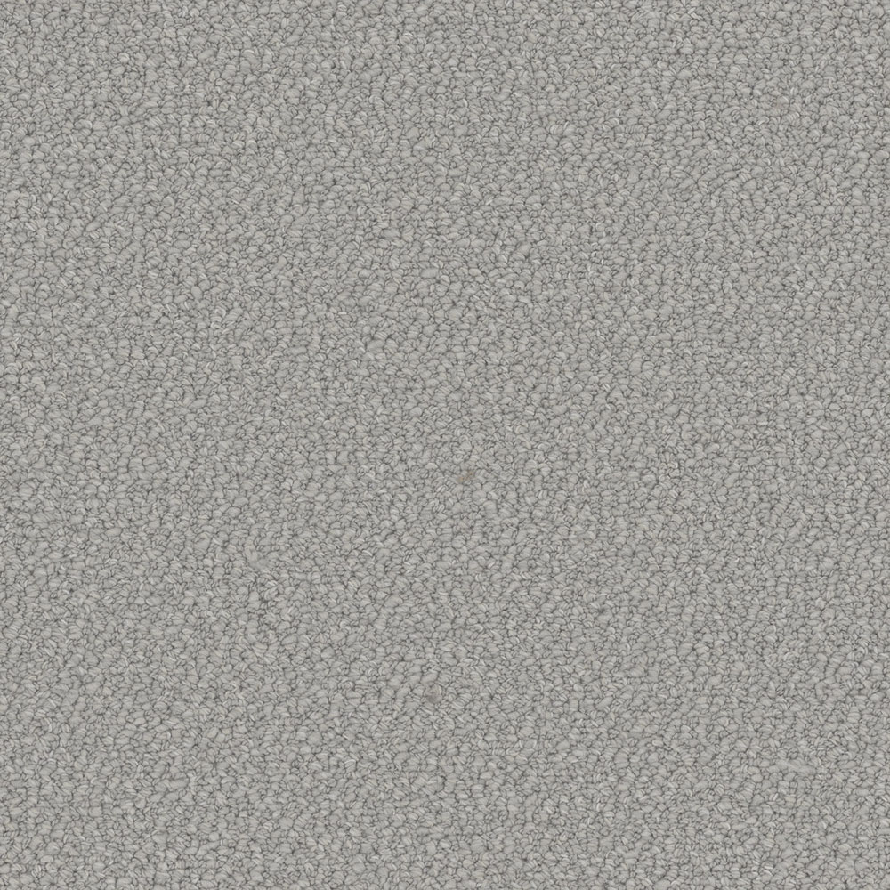 Ponderosa - Harbor Wish