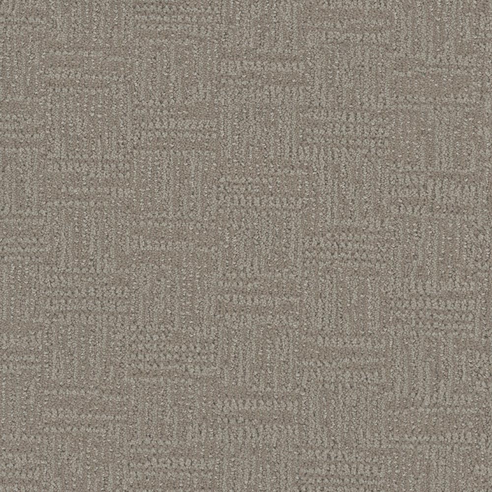 Intrigue - Coastal Bluff