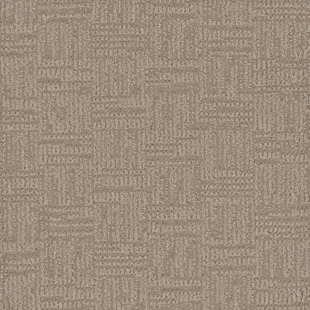 Intrigue - Pale Birch