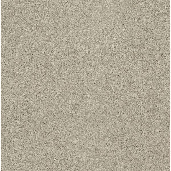 Pacifica III - Ivory