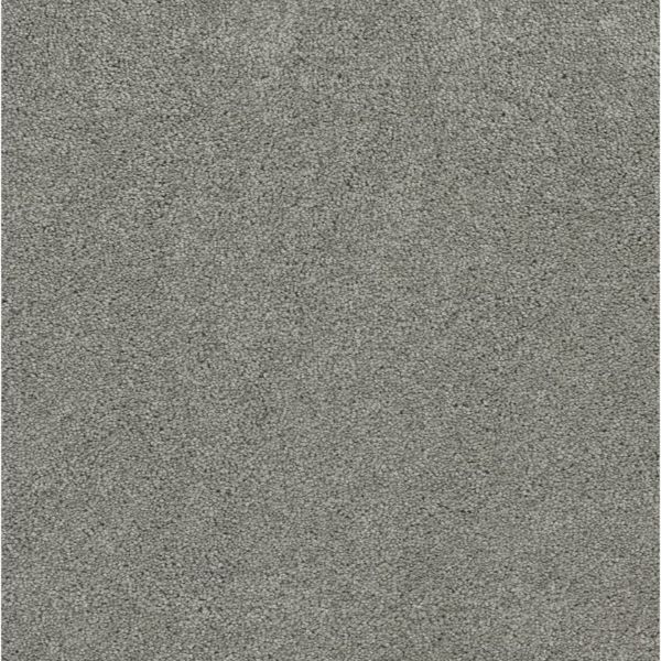 Pacifica III - Shamrock