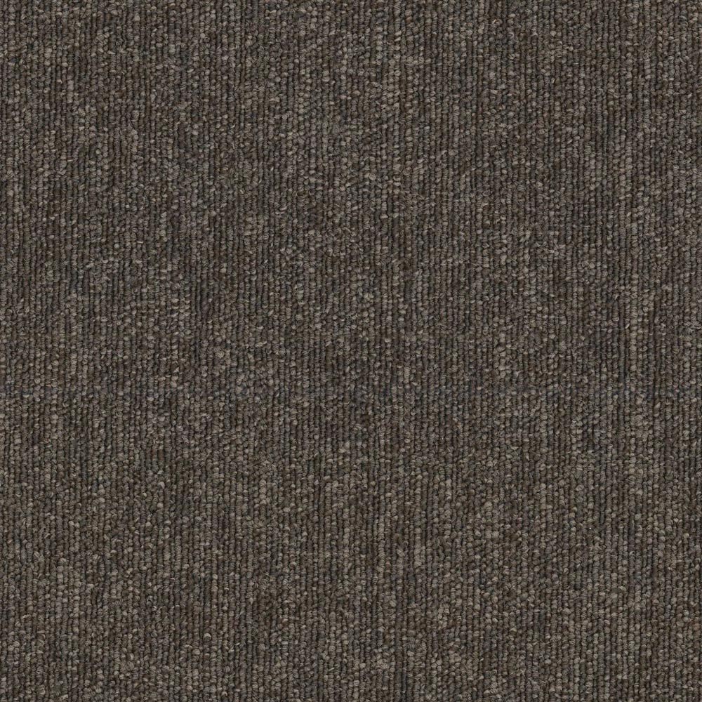 Performer 26 - Scads