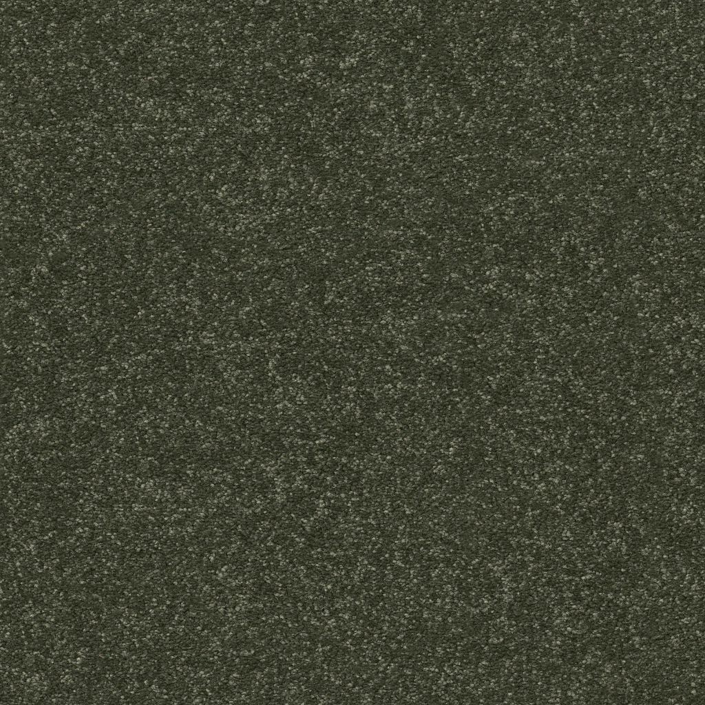 New Tradition I - Rerooted Nature