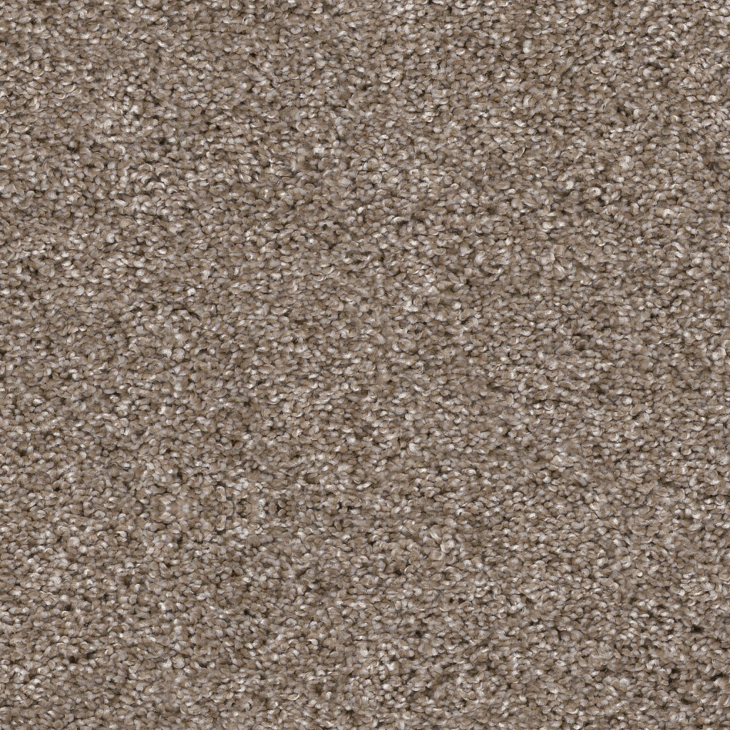 Serenade II 12' - Cameo