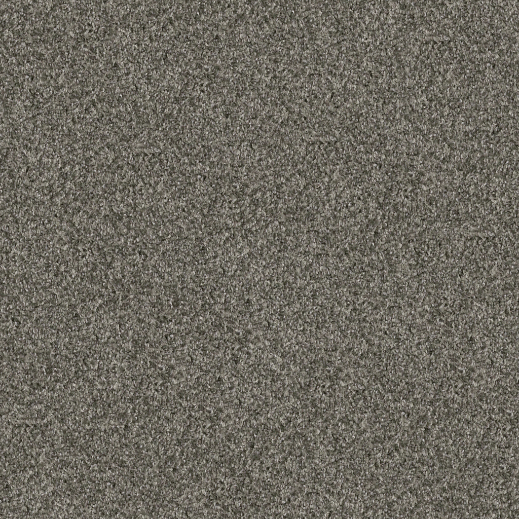 Serenade I 15' - Rerooted Nature