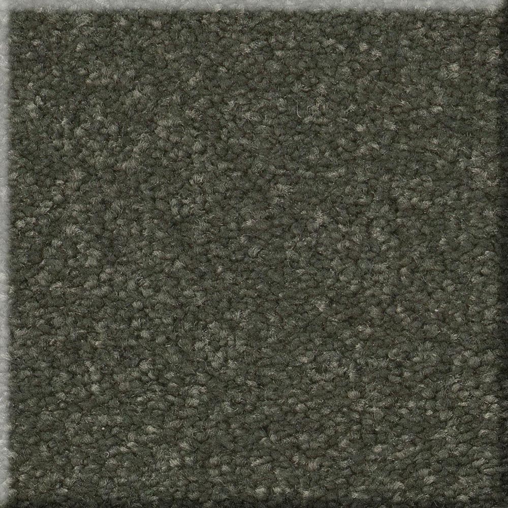 Classic Comfort II - Olive Tree