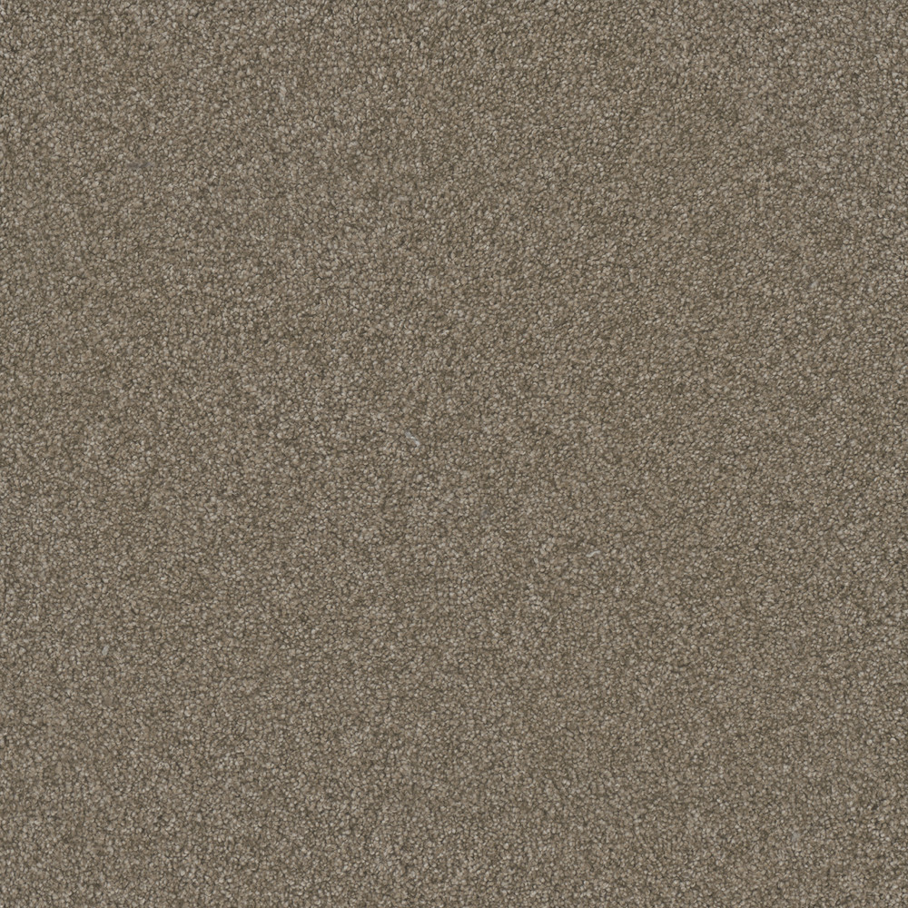 Heart of Gold II - Dust