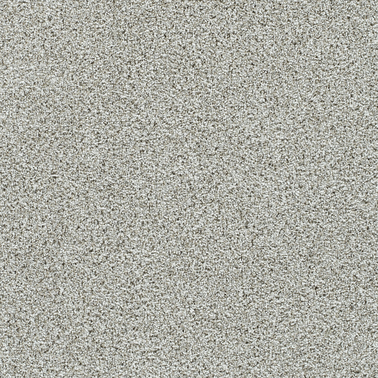 Artistic I - Cloudland