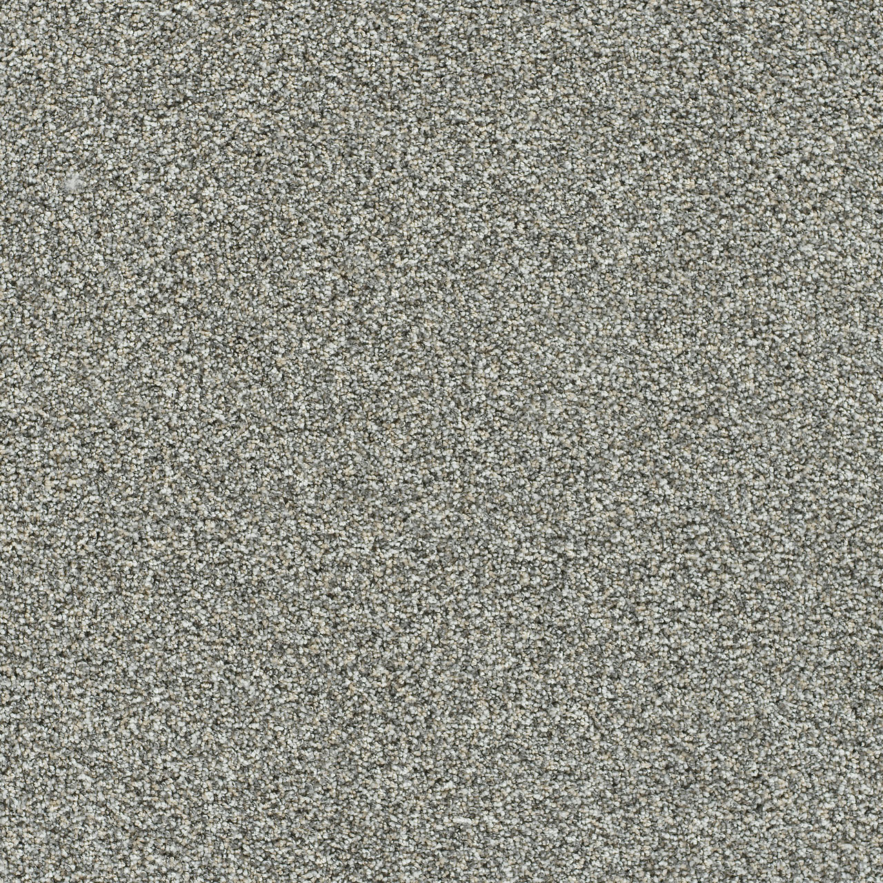 Artistic II - Grand Night