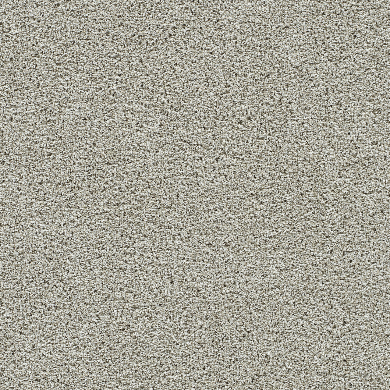 Artistic III - Fairview