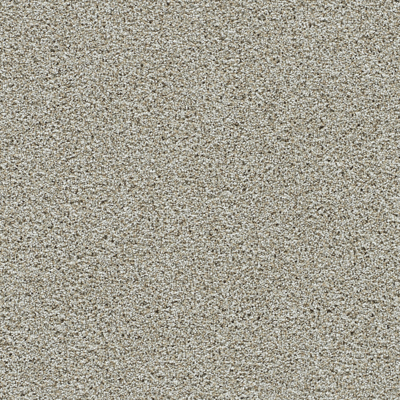 Artistic II - Orchard