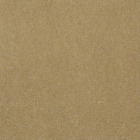 Alliance 36 - Suede Gold