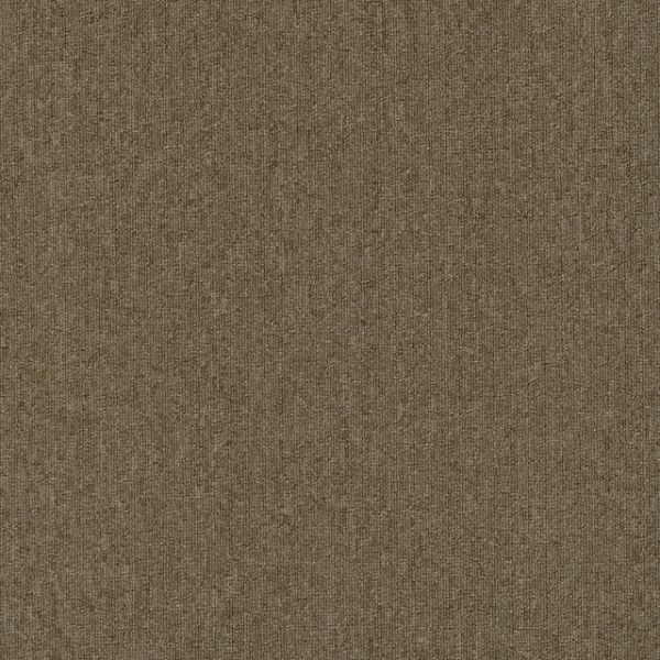 Enterprise 20 - Praline