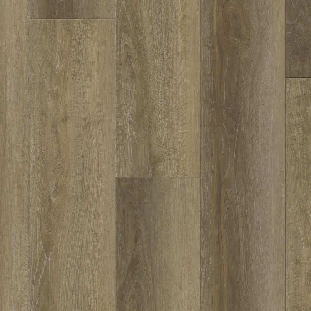 Atlantis - Saddle Oak