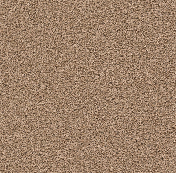 Blockbuster Plus - Sable