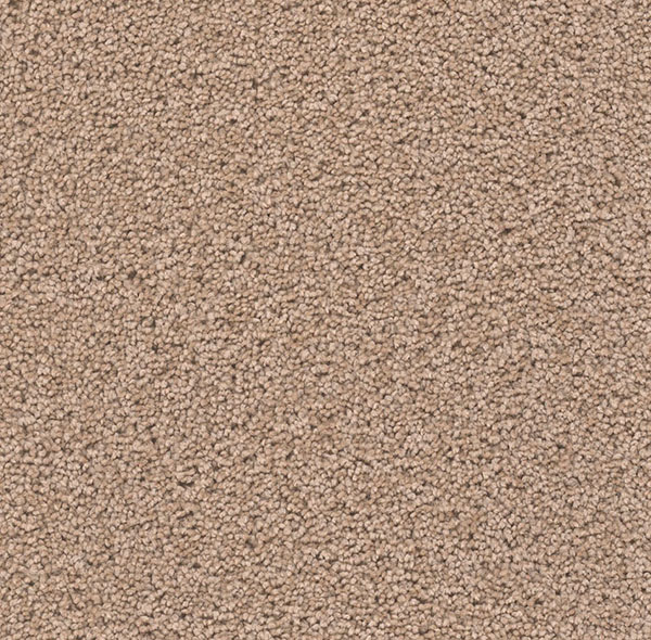 Blockbuster Plus - Doeskin