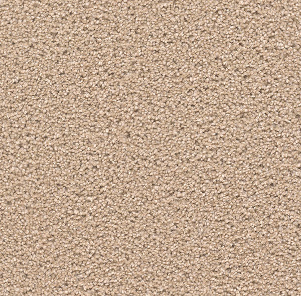 Blockbuster Plus - Cashmere