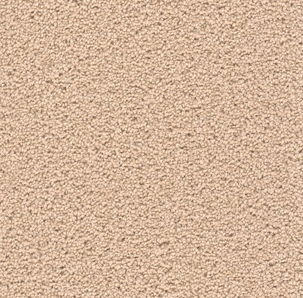 Blockbuster Plus - Cookie Dough