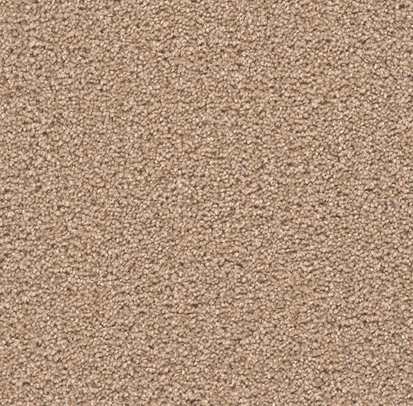 Blockbuster Plus - Buff