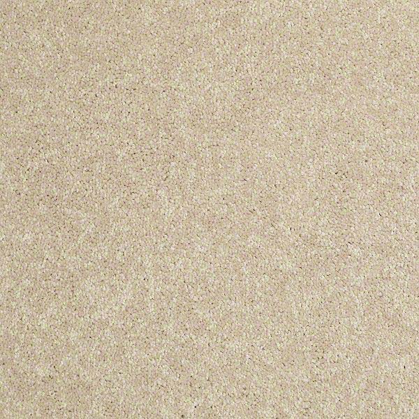 Star Bright II - Sand Dollar