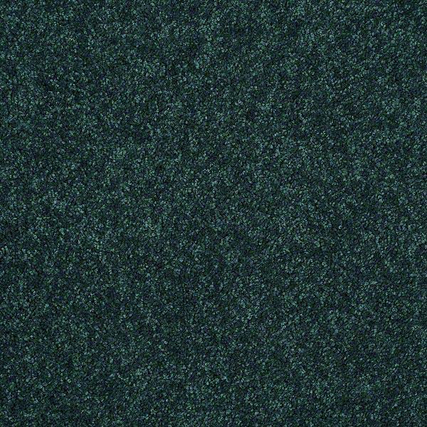 Star Bright II - Polo