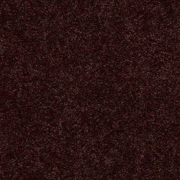 Star Bright II - Coffee