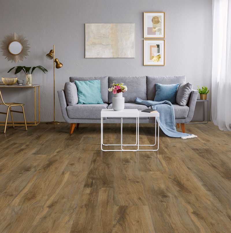 Hawk's Ridge - Live Oak