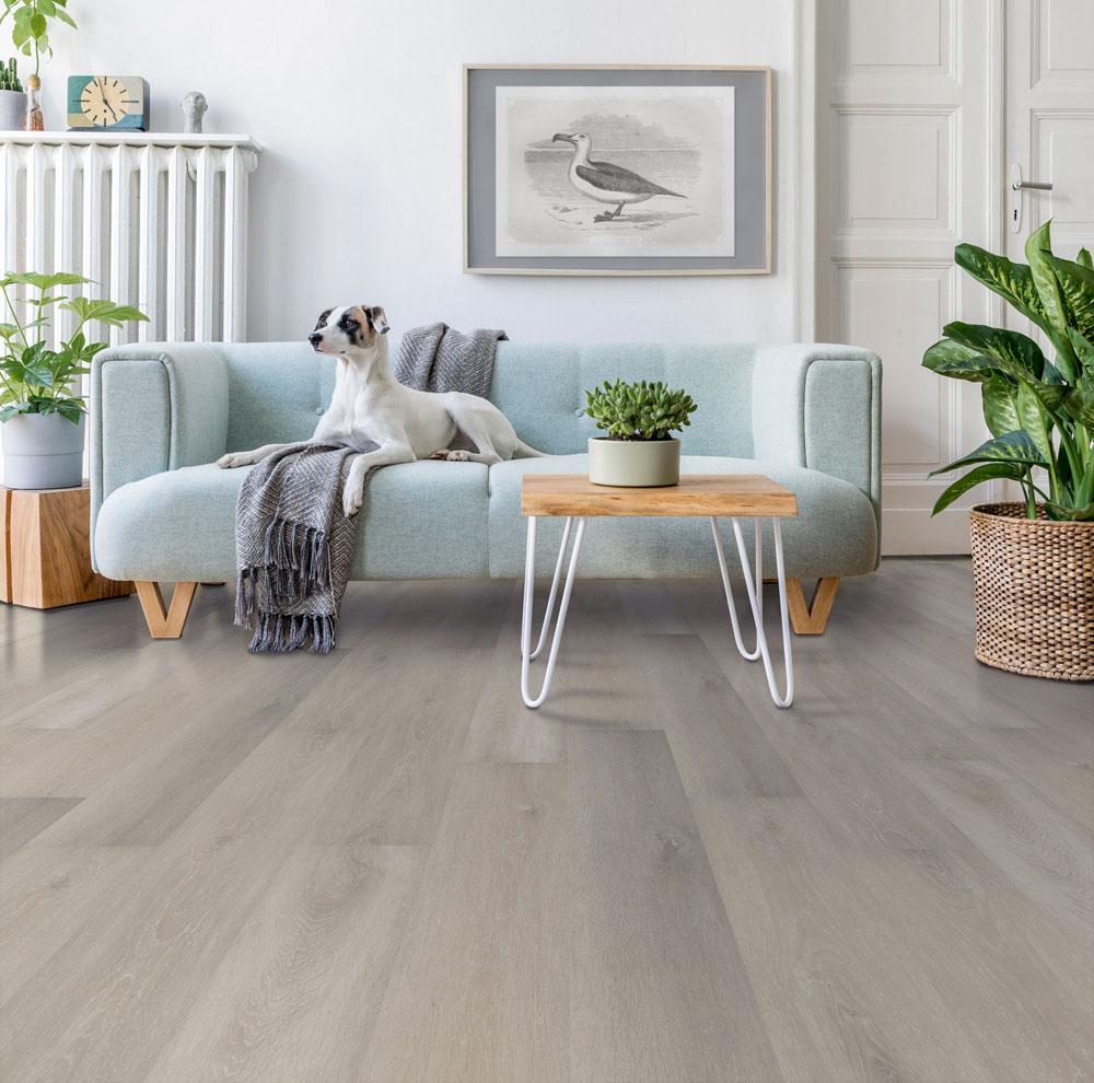 Osprey - Misty Shores