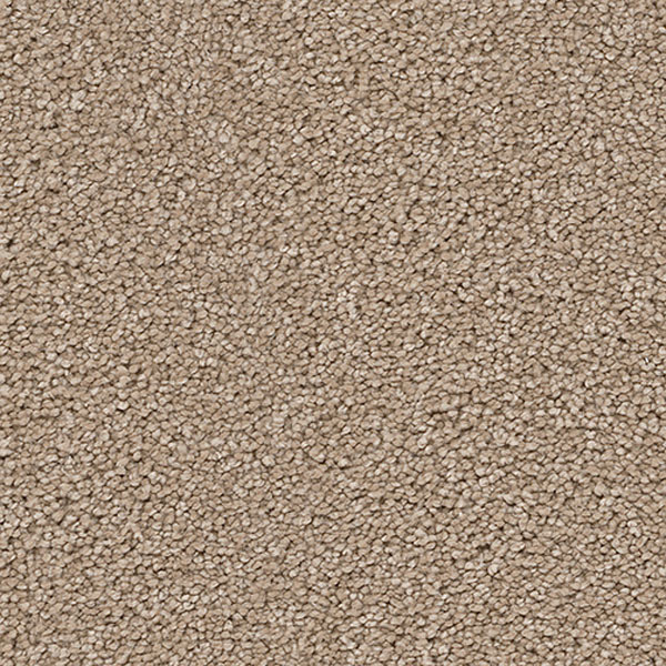 Pacific Heights I - Cashew