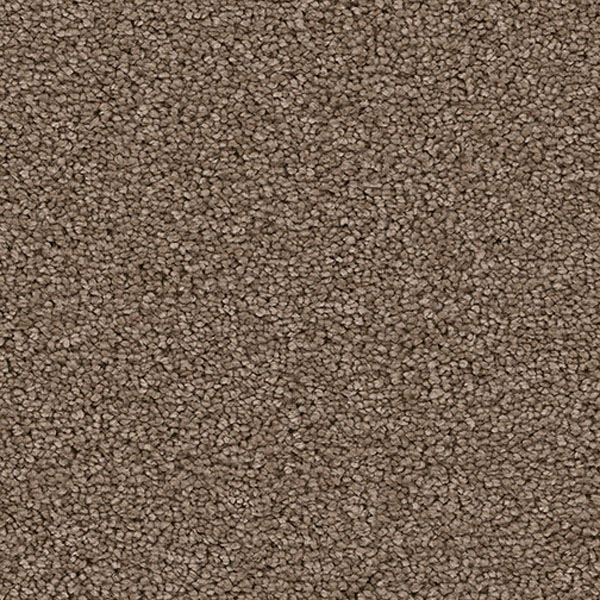 Pacific Heights III - Cocoa