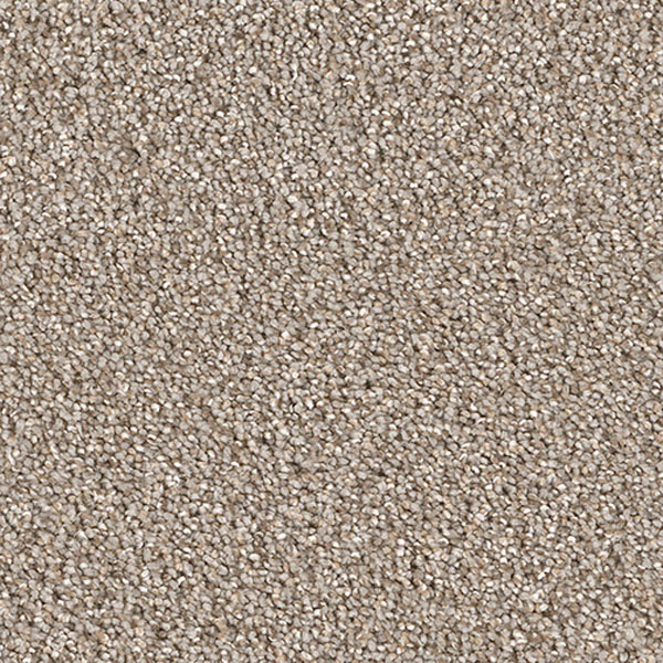 Pacific Heights III - Ash