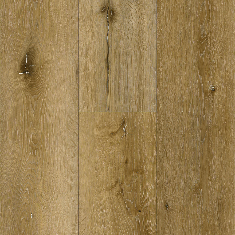 Osprey - Northern White Oak