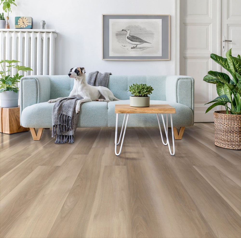 Osprey - Venice Beach