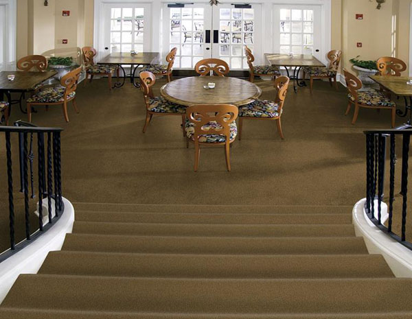 Alliance 30 - Blue Spruce