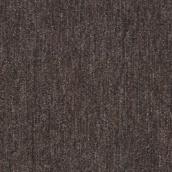 Performer 20